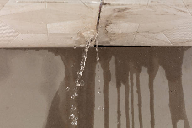 Professional Burst Pipe Cleanup technician working in Clifton, TN